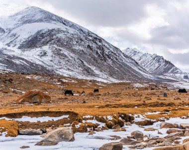 Leh Ladakh 'ta bulutlu gökyüzü olan kar dağlarının manzarası