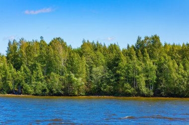 parkta su organıdır büyümüş çamur