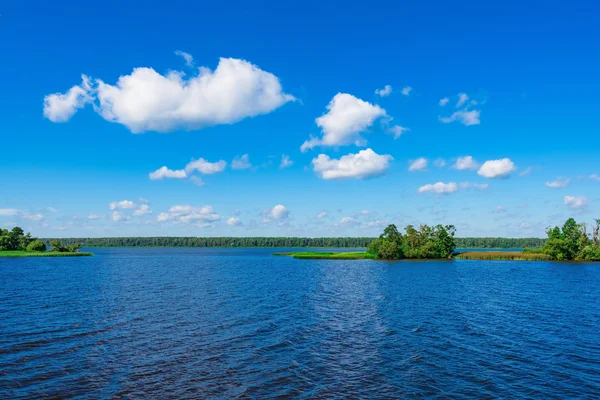 Body of water in the park is overgrown mud — Stock Photo, Image