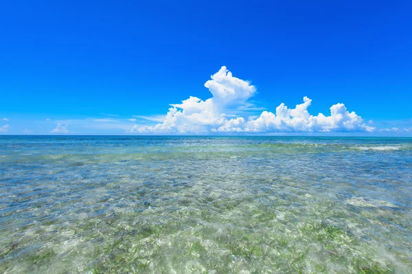 Sandy sea beach — Stock Photo, Image