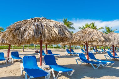 Palm Beach Şezlongu