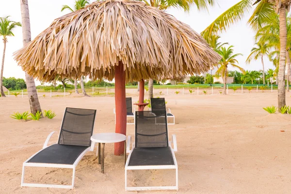 Palm plaża szezlongu longue — Zdjęcie stockowe