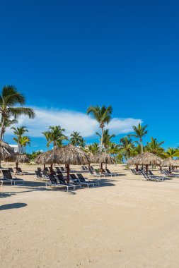 Palm Beach Şezlongu