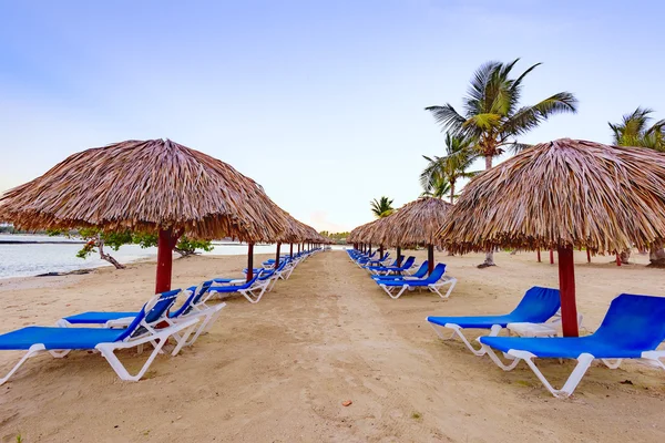 Palm strand schäslong — Stockfoto