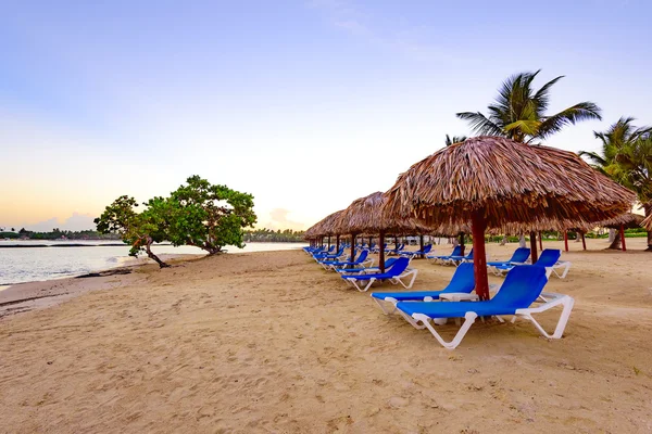 Palm strand schäslong — Stockfoto