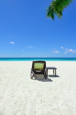 Palm Beach Şezlongu