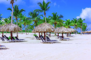 Palm Beach Şezlongu