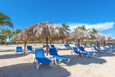 Palm Beach Şezlongu