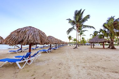 Palm Beach Şezlongu