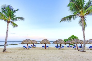 Palm Beach Şezlongu