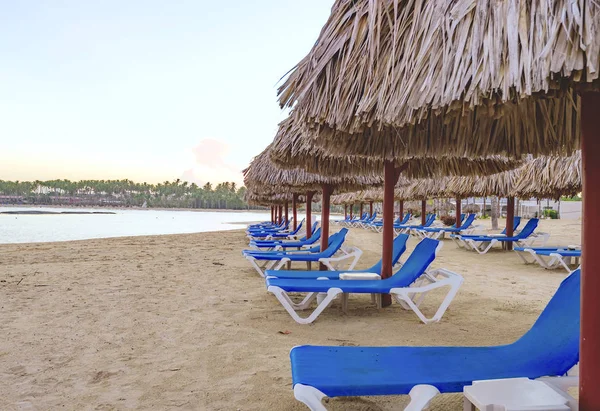 Palmeira praia chaise longue — Fotografia de Stock