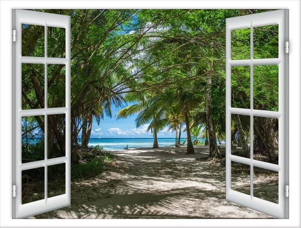 Окно с видом на зеленое дерево море при ярком солнечном свете — стоковое фото