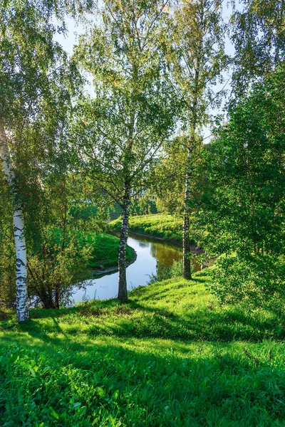 Paisagem da floresta fluvial — Fotografia de Stock