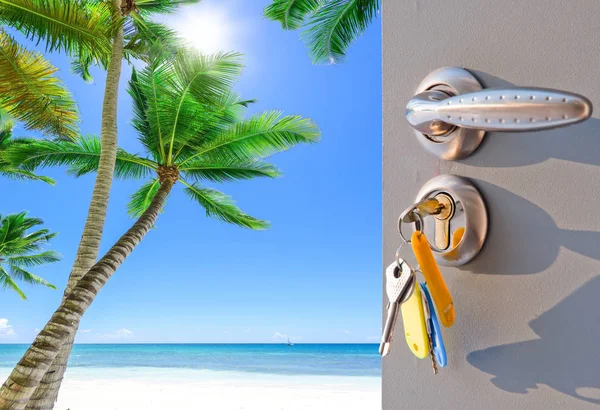 Kapıyı açık palm beach — Stok fotoğraf
