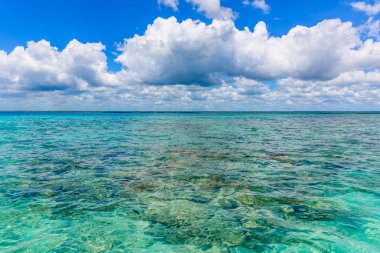 Açık mavi deniz cumulus bulutları