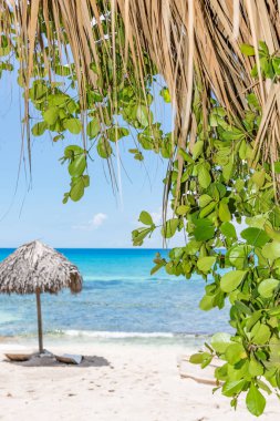 Palm Beach Şezlongu