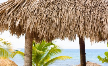 Palm Beach Şezlongu