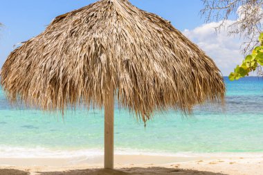 Palm Beach Şezlongu