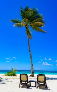 Palm Beach Şezlongu