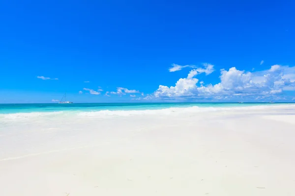 Paraíso playa tropical palmera — Foto de Stock