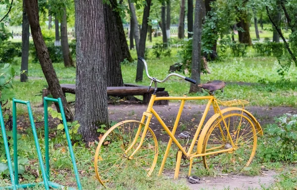 Fahrrad ist eine grüne Wiese — Stockfoto