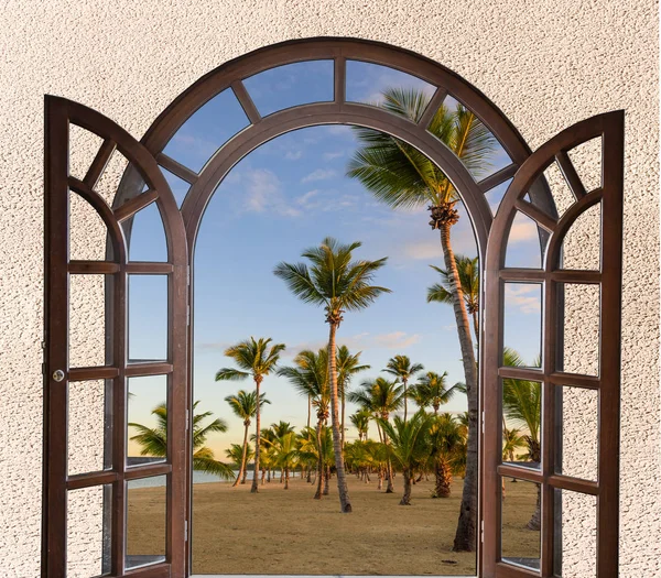 Πόρτα ανοικτή παραλία με τους φοίνικες — Φωτογραφία Αρχείου