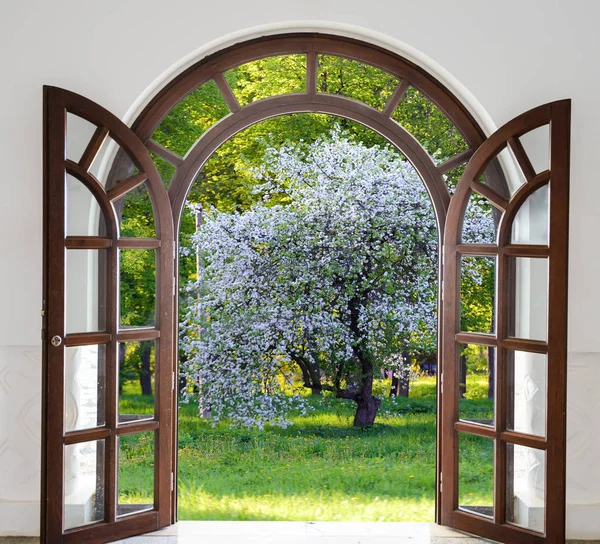 Öppna dörren arch trädgård blommar på våren — Stockfoto