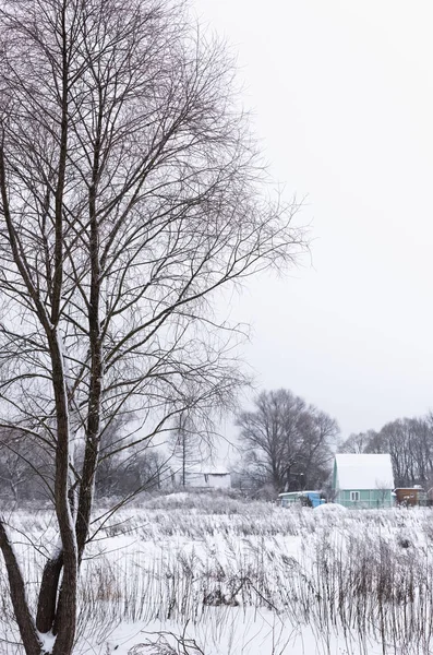 Není zamrzlý rybník v zimě — Stock fotografie