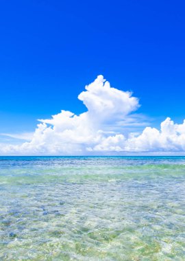 Açık mavi deniz cumulus bulutları