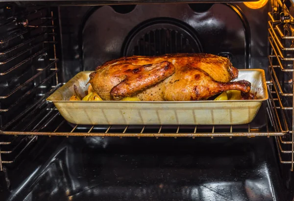 Roast goose for the holiday — Stock Photo, Image