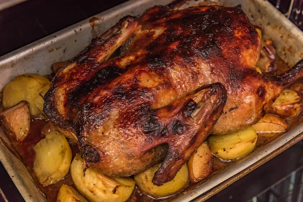 Roast goose for the holiday — Stock Photo, Image
