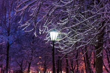 fener gece kar ağaç