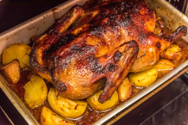 Roast goose for the holiday — Stock Photo, Image