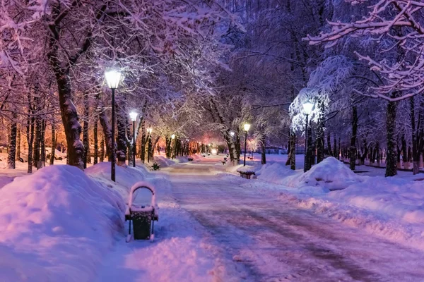 Alley noite lâmpada inverno — Fotografia de Stock