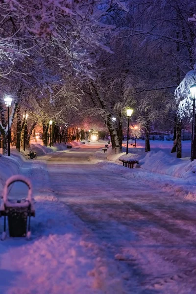 Alley noite lâmpada inverno — Fotografia de Stock