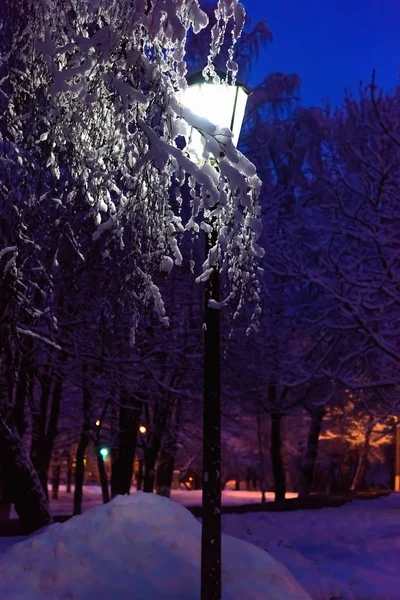 Linterna árbol de nieve noche —  Fotos de Stock