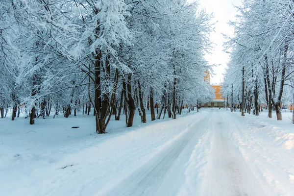 Winter road in the woods — Stock Photo, Image