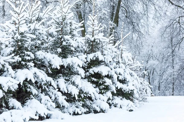 Niet bevroren vijver in de winter — Stockfoto