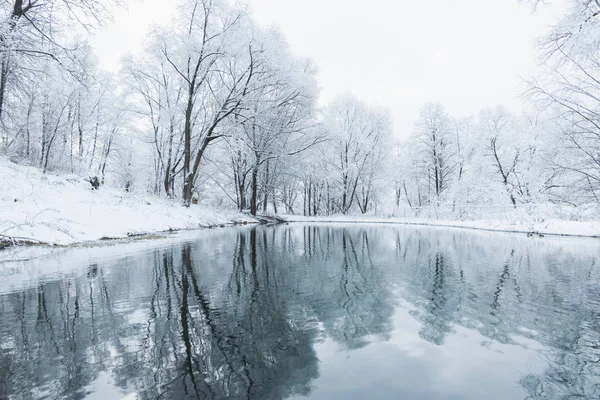 Není zamrzlý rybník v zimě — Stock fotografie