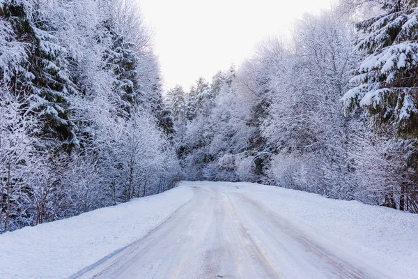 Strada invernale nel bosco — Foto Stock
