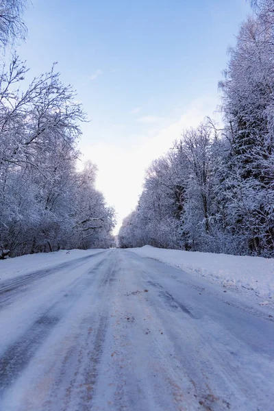 Winter weg in het bos — Stockfoto