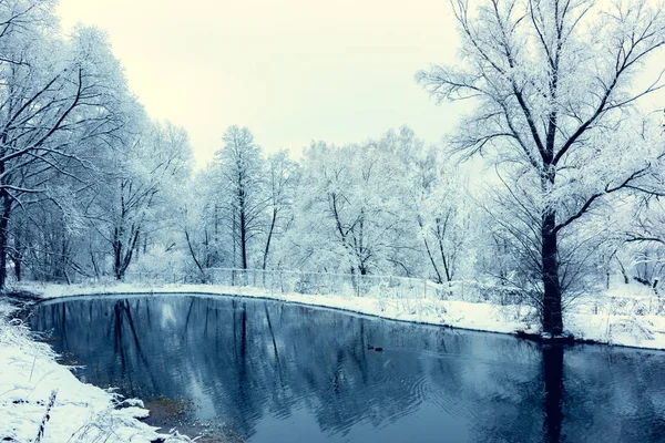 Not frozen pond in winter — Stock Photo, Image