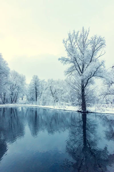 Nicht gefrorener Teich im Winter — Stockfoto