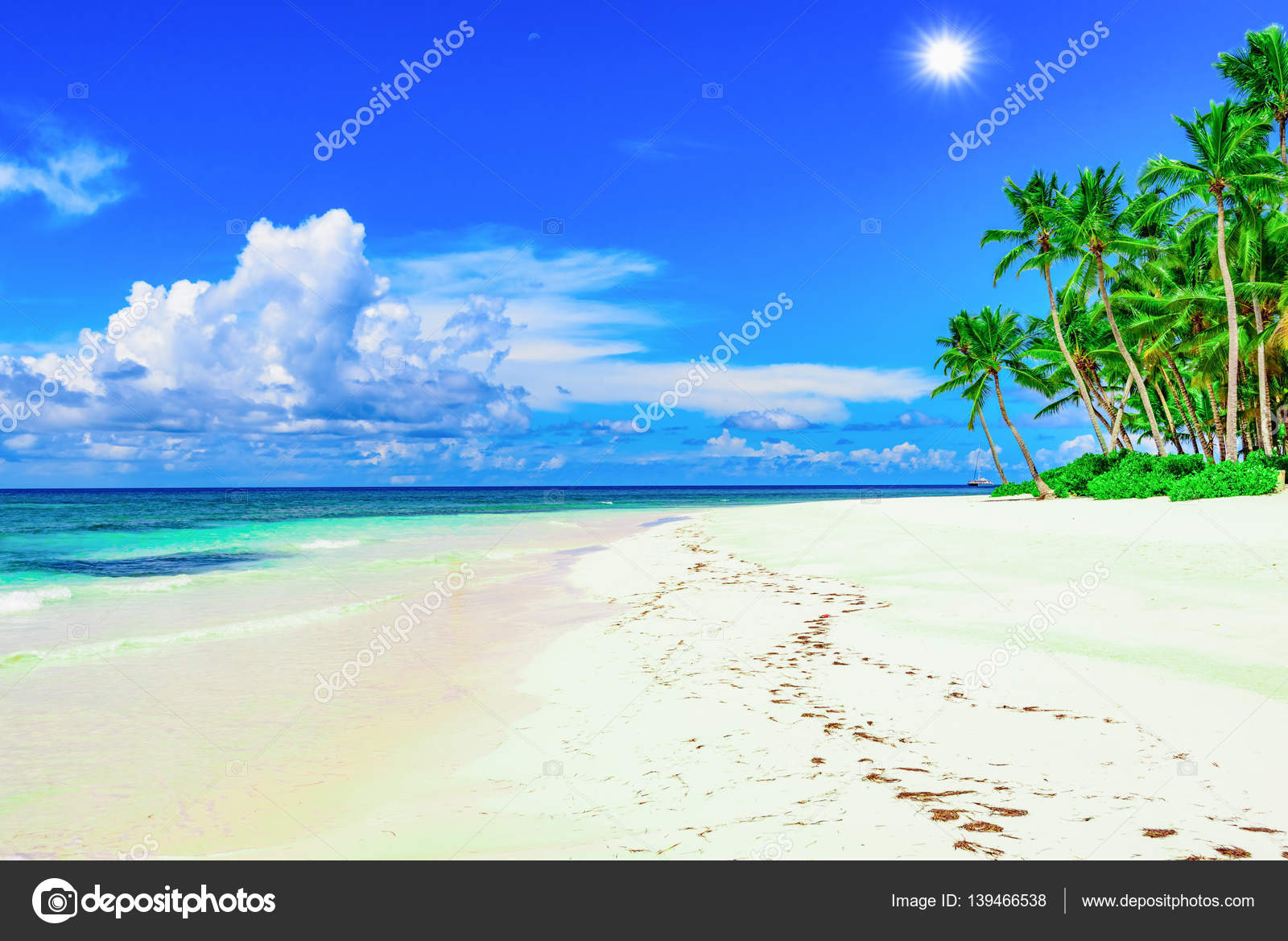 море пляж песок побережье солнце загрузить