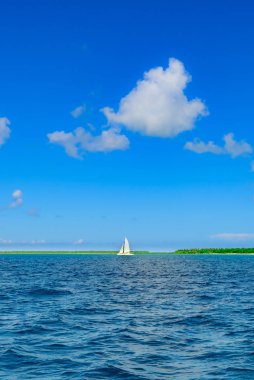 Mavi gökyüzü üzerinde Karayip güneş