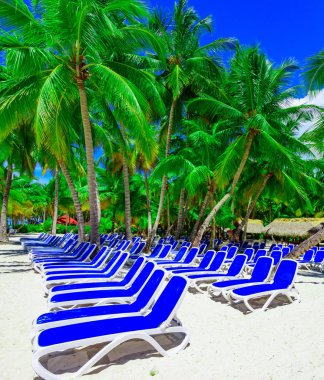 Palm Beach Şezlongu