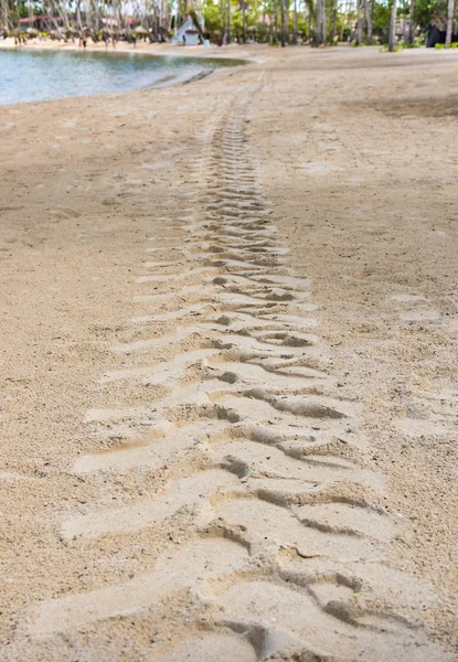 Areia de trilha de trator — Fotografia de Stock