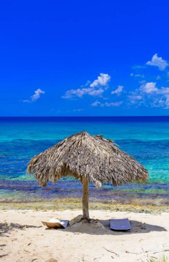 Palm Beach Şezlongu