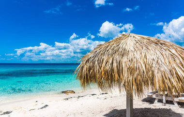 Palm Beach Şezlongu