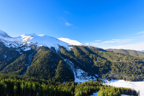 Forêt de montagne d'hiver — Photo